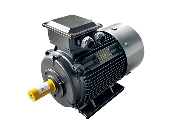 風冷永磁同步電機